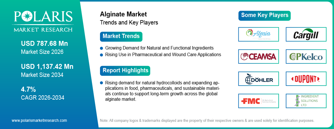Alginate Market Size to Reach USD 1,137.42 Million by 2034